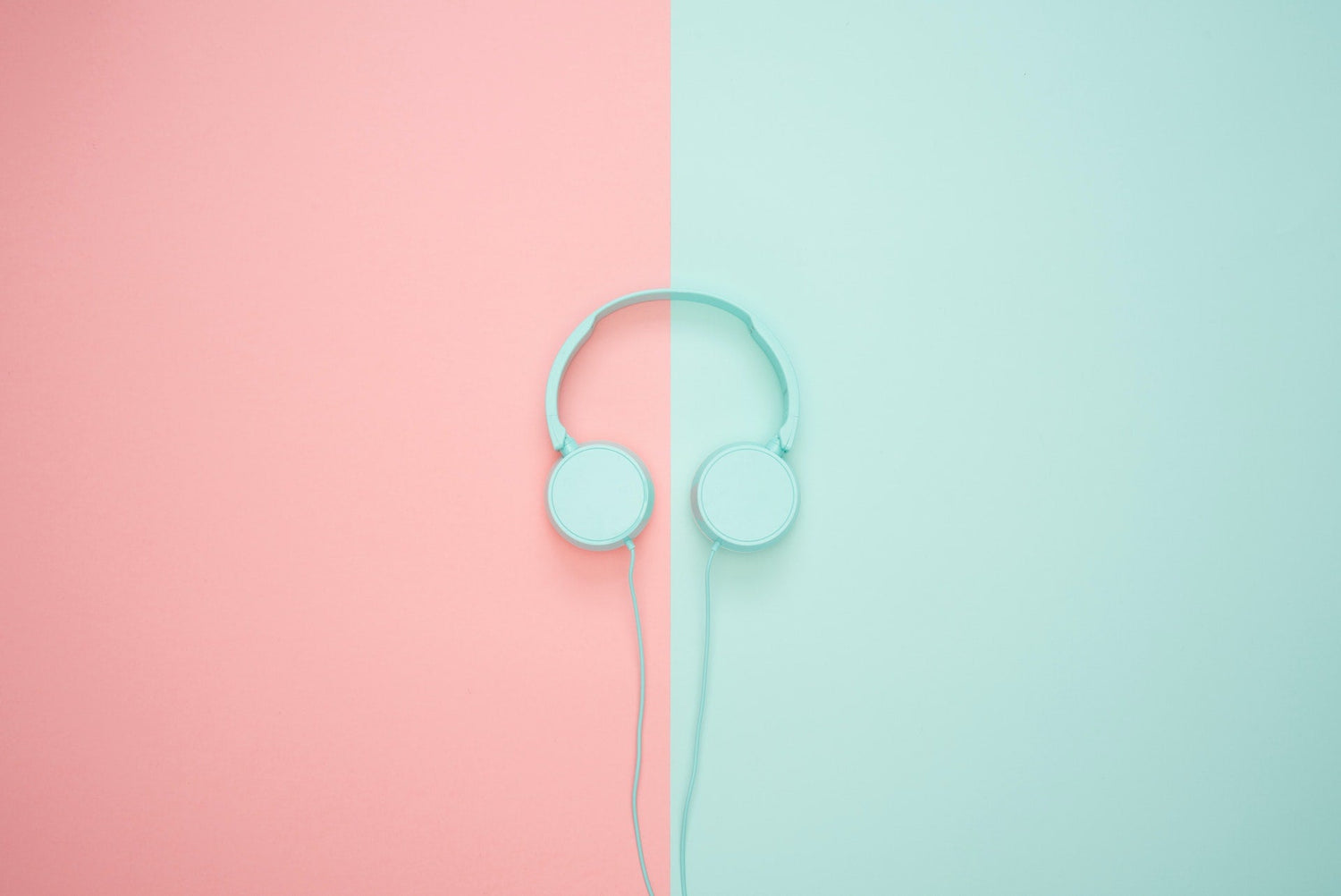 Audio & Accessories