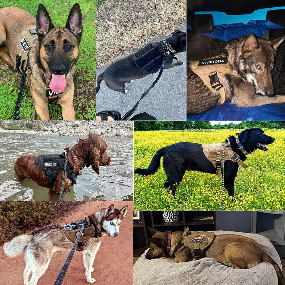 Large Dog Harness And Leash Set Pet, Training Walking Vest Dog Harness And Collar For Medium Large Dogs