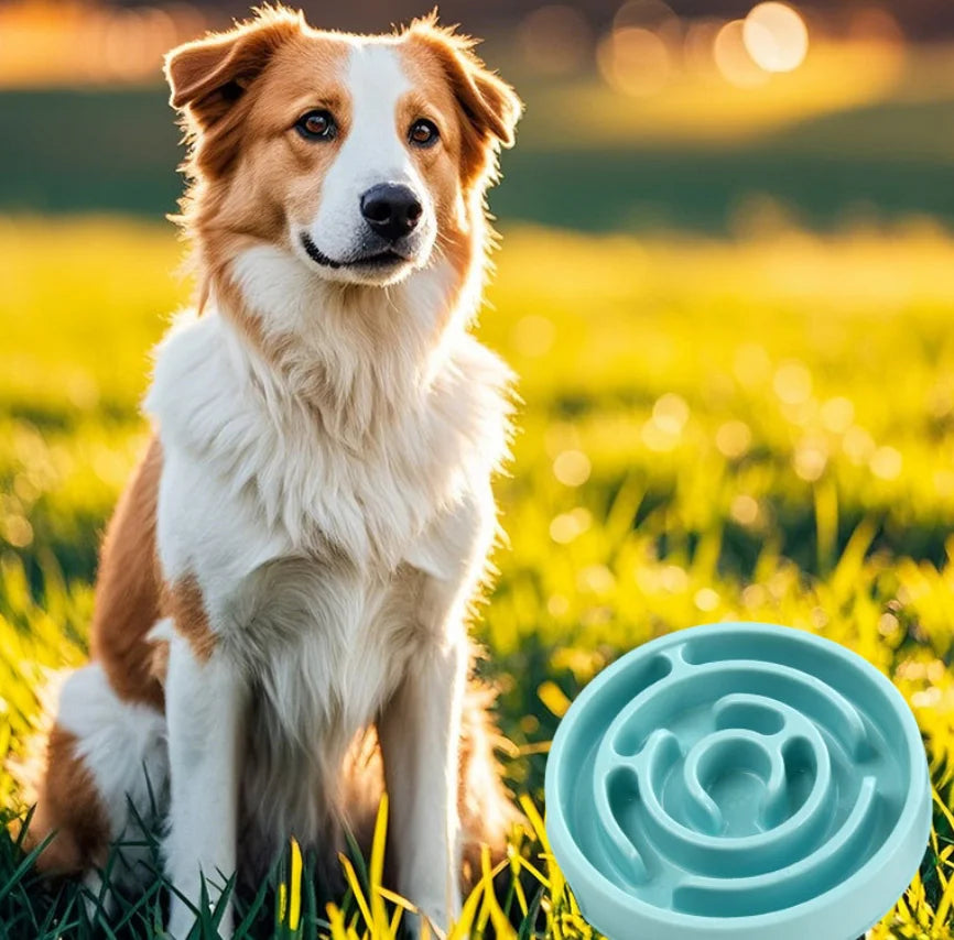Slow Feeder Dog Bowl With Non Slip Interactive Maze